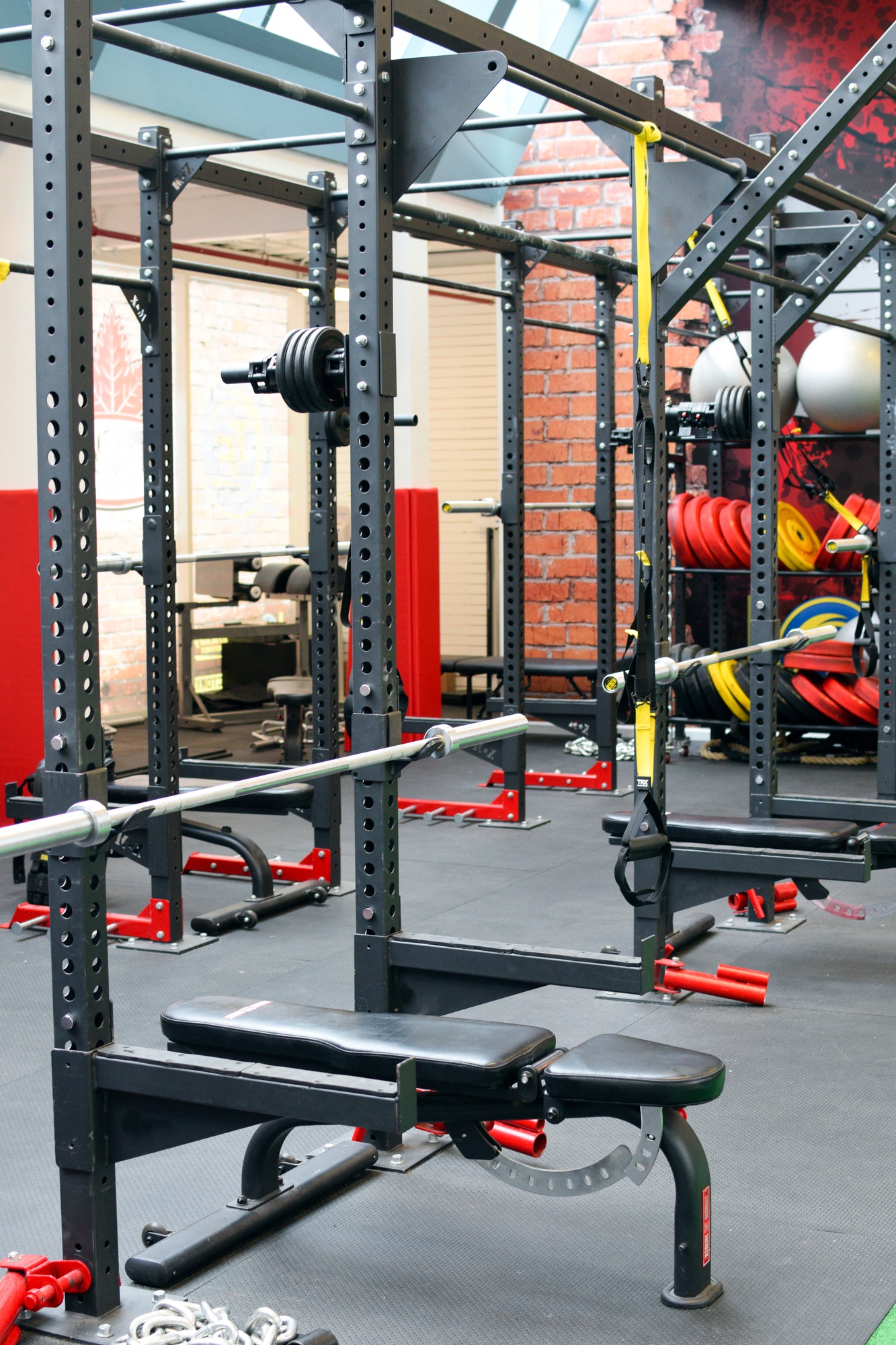 Exercise Equipment at the Gym